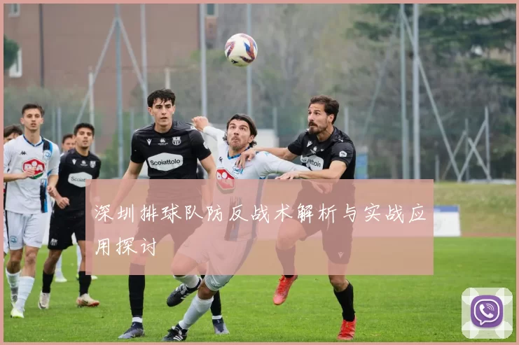 深圳排球队防反战术解析与实战应用探讨