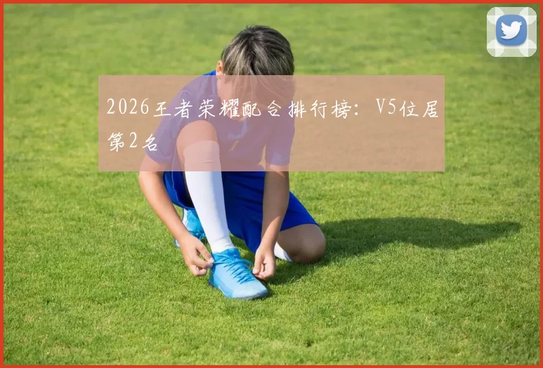2026王者荣耀配合排行榜：V5位居第2名