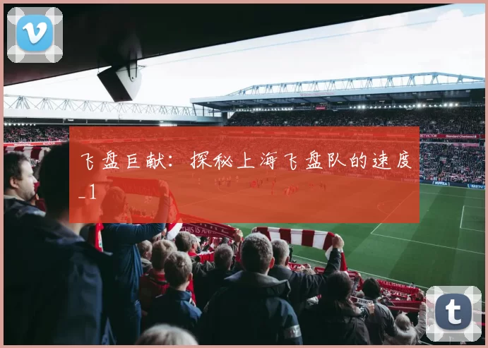 飞盘巨献：探秘上海飞盘队的速度_1