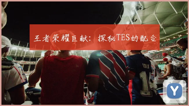 王者荣耀巨献：探秘TES的配合