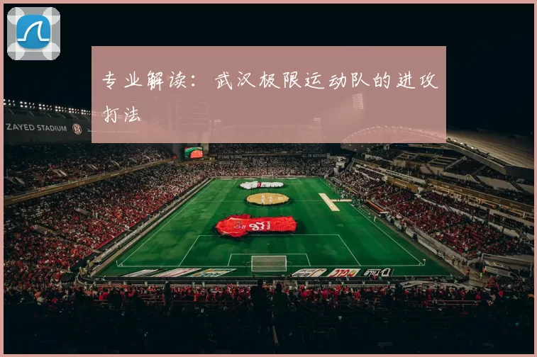 专业解读：武汉极限运动队的进攻打法