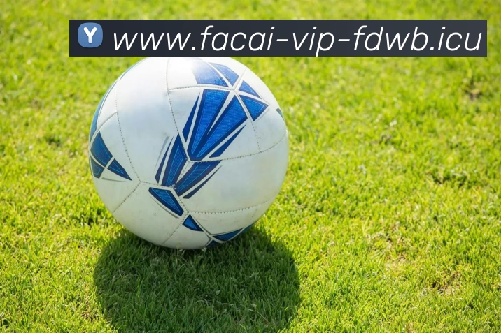 MK体育平台生态图